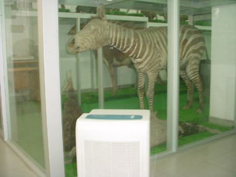 除濕機放在動物標本陳列柜邊
